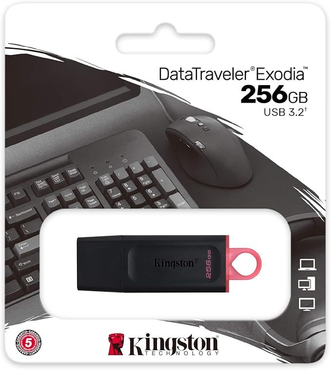 KINGSTON DataTraveler Exodia 256GB